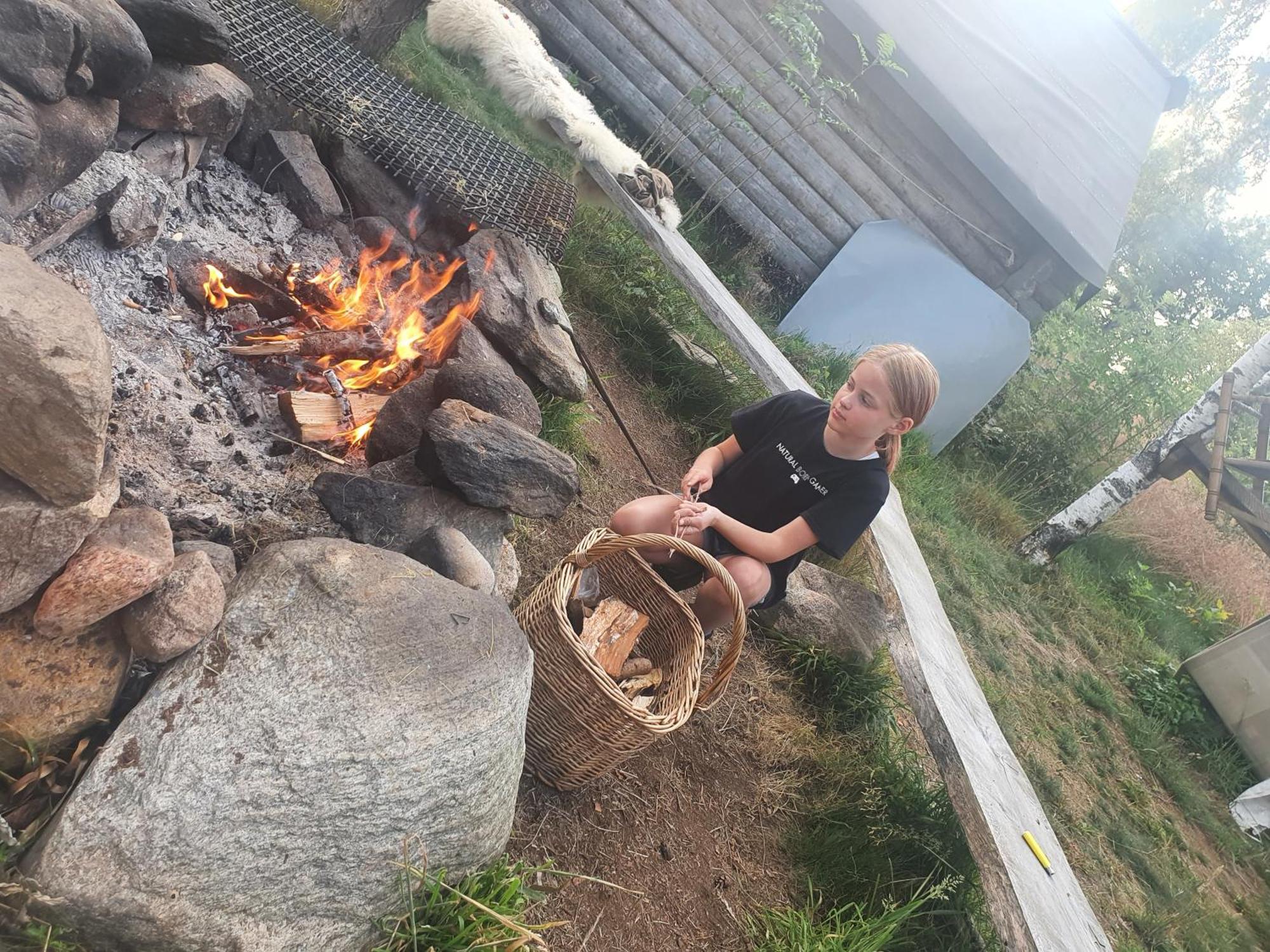 Vittfarnas Vikingaby Villa Sosdala Bagian luar foto