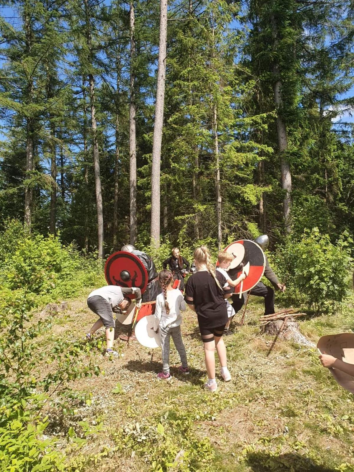 Vittfarnas Vikingaby Villa Sosdala Bagian luar foto