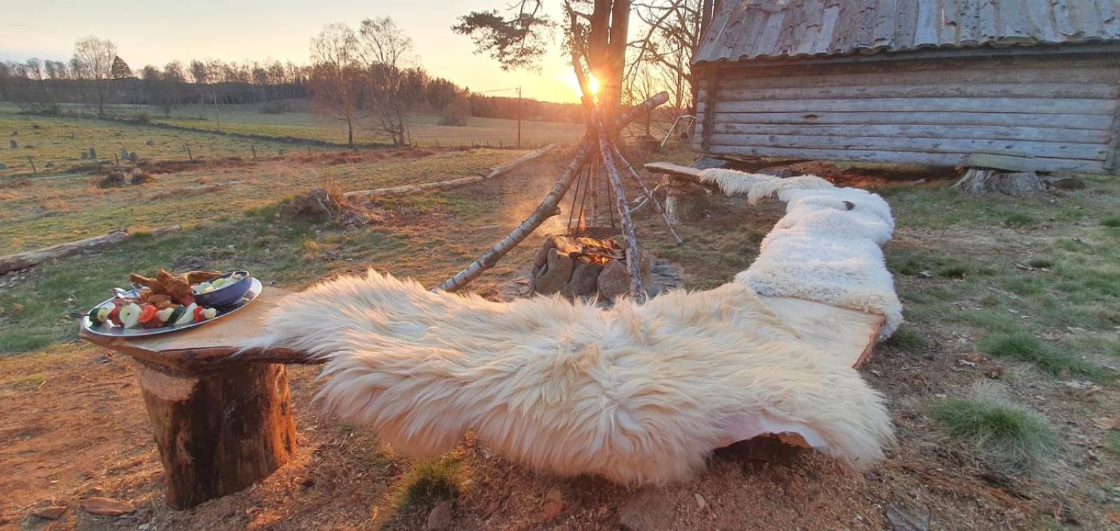 Vittfarnas Vikingaby Villa Sosdala Bagian luar foto