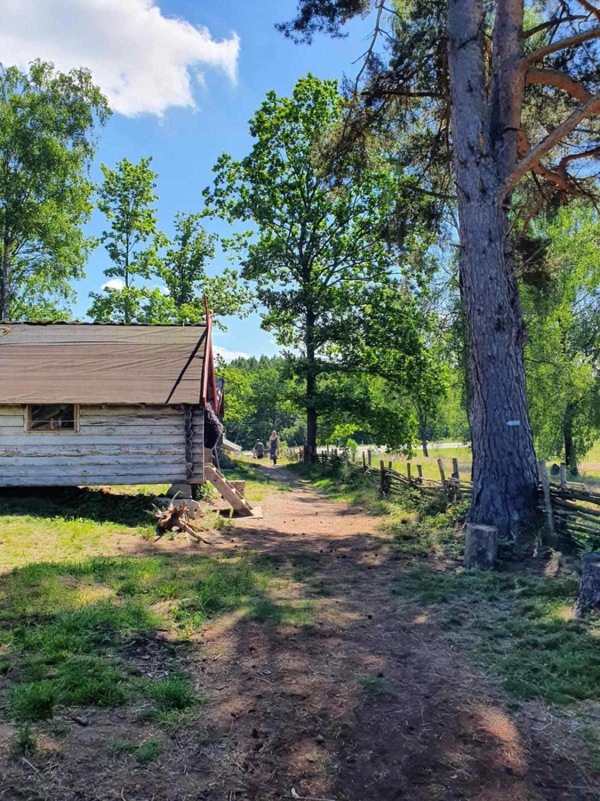 Vittfarnas Vikingaby Villa Sosdala Bagian luar foto